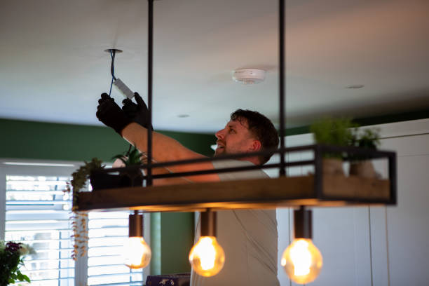 Best Electric Panel Repair  in La Grange, NC